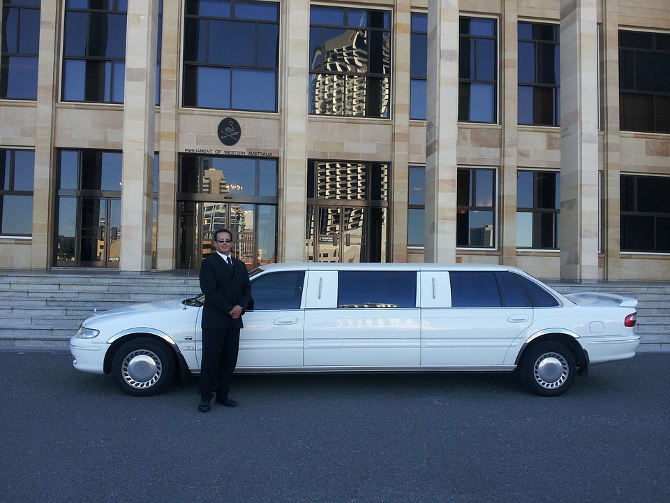 limousine Domestic Bliss Appointments - chauffeur